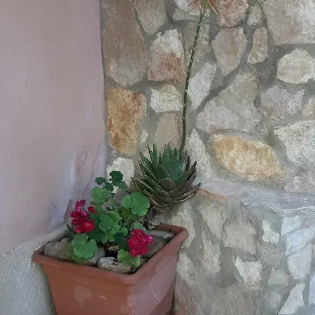 Oasi Calatina Apartment *